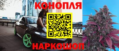 spice Краснознаменск